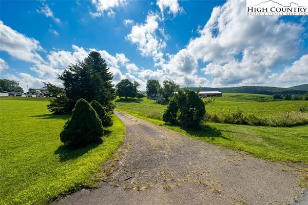 a view of a park with large trees