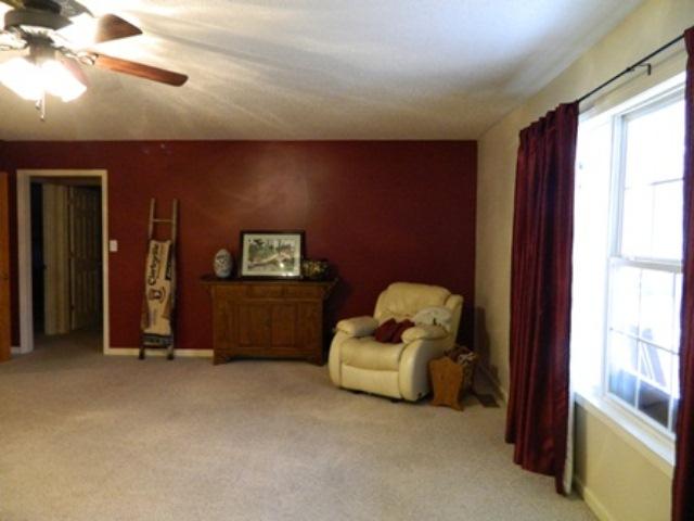 4694 Old Metal Road Palmyra, TN 37142 - Photo 4 of 18