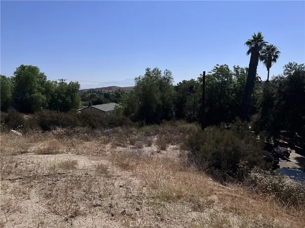 a view of a dry yard with trees