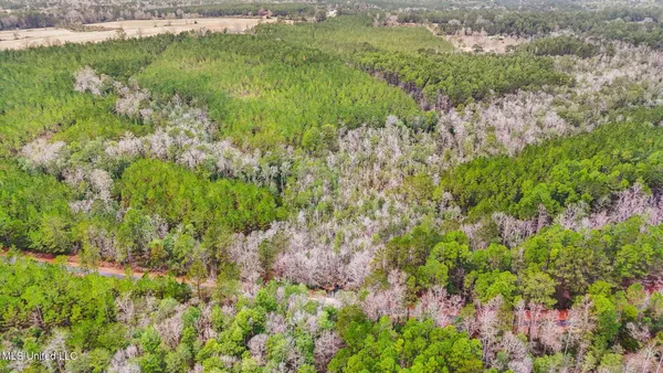 $310,000 | 63n & Fork Road, Lucedale, MS 39452