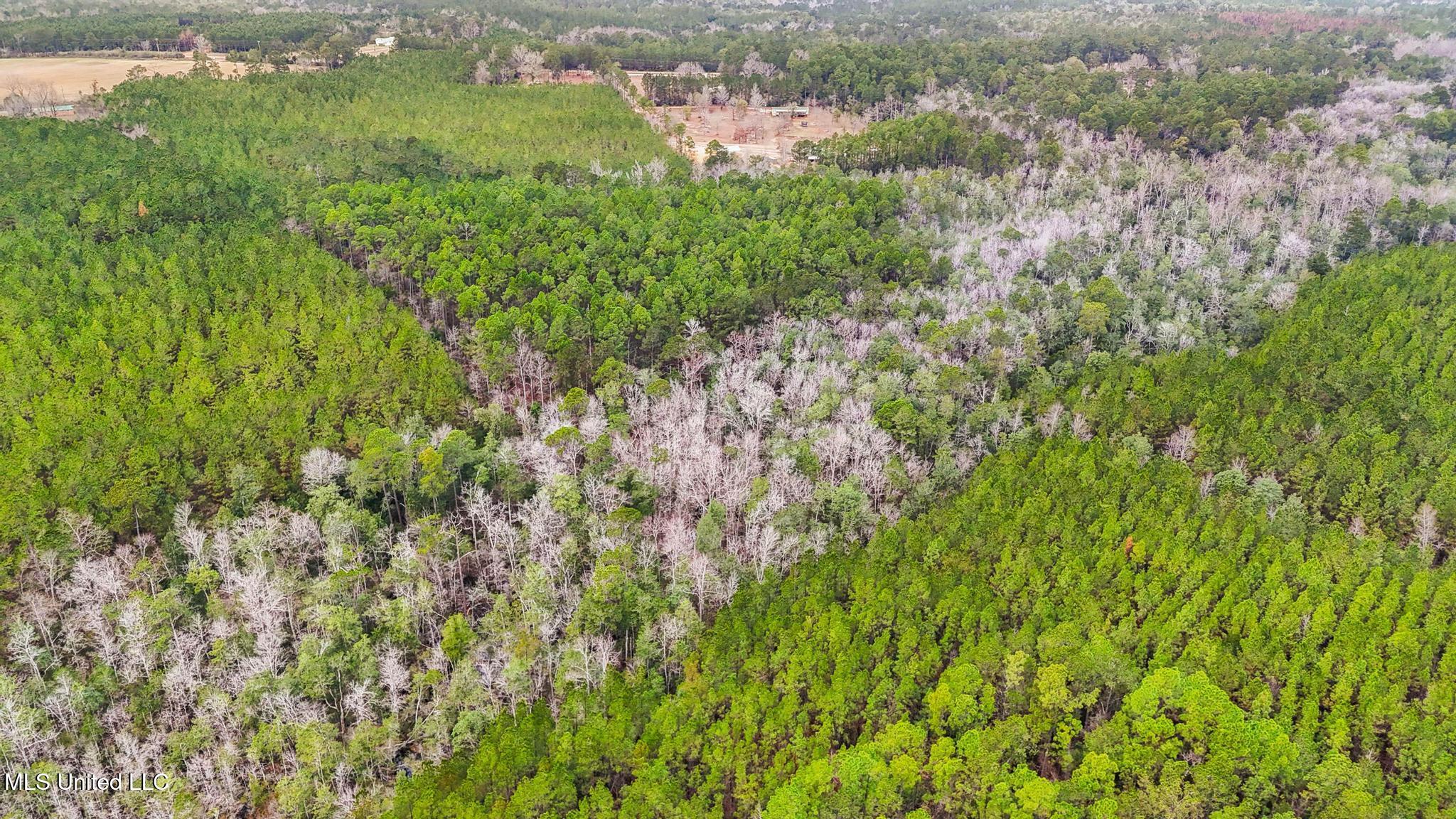 63n & Fork Road Lucedale, MS 39452 - Photo 13 of 18 013