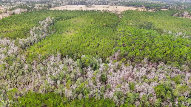 $350,000 | 63n & Fork Road, Lucedale, MS 39452