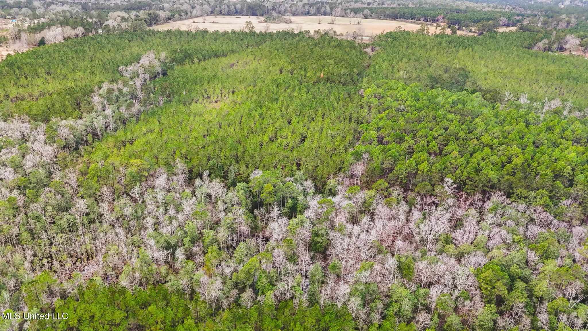 63n & Fork Road Lucedale, MS 39452 - Photo 14 of 18 014