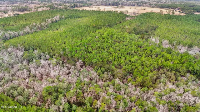 $350,000 | 63n & Fork Road, Lucedale, MS 39452