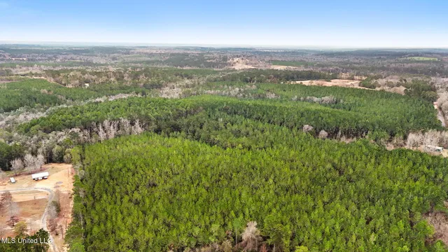 $350,000 | 63n & Fork Road, Lucedale, MS 39452