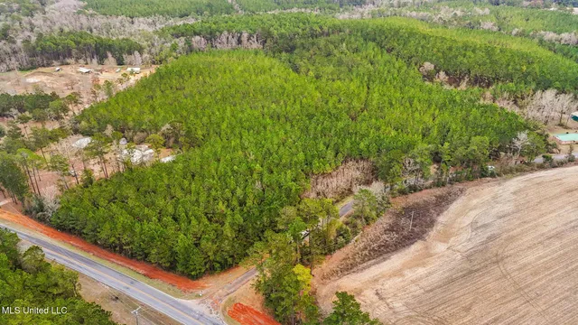 $350,000 | 63n & Fork Road, Lucedale, MS 39452