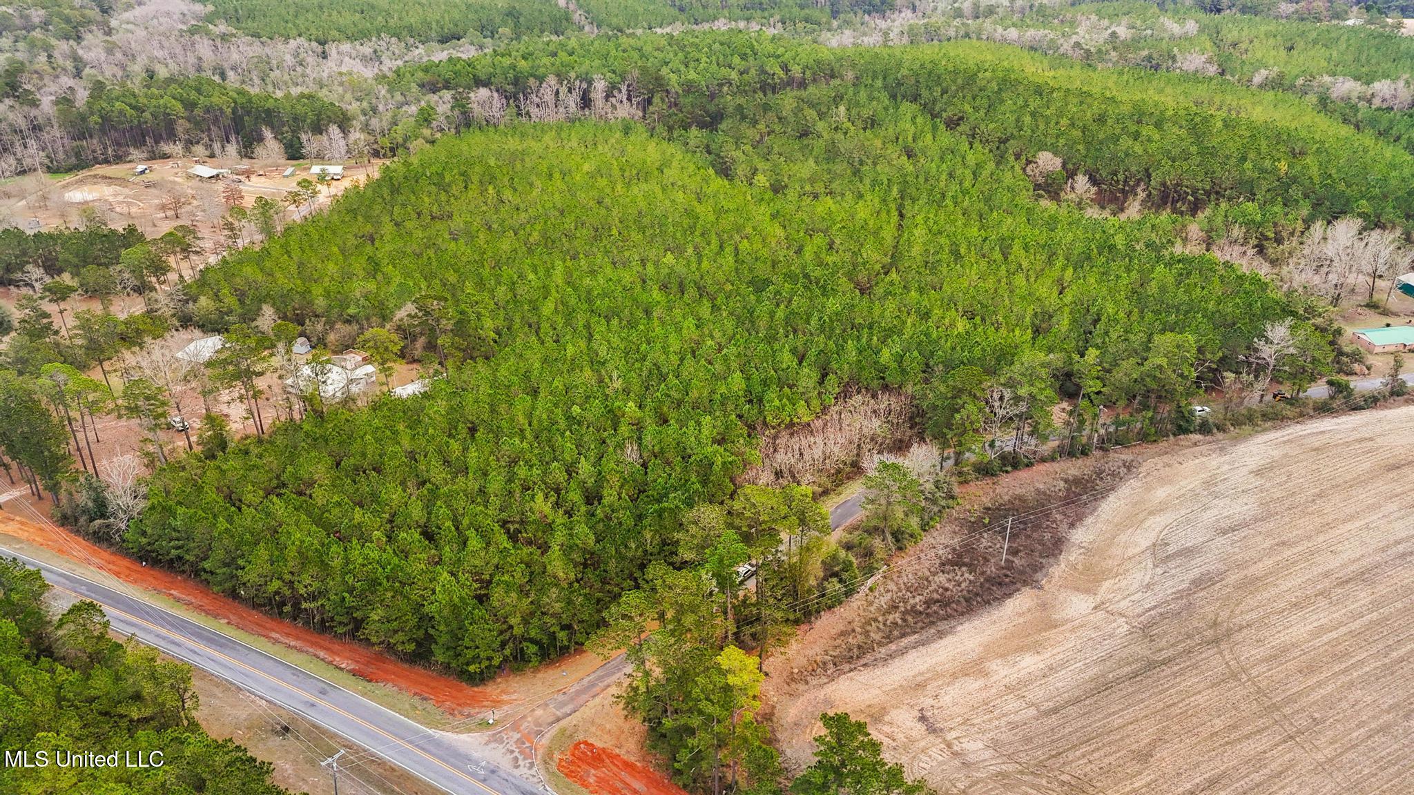 63n & Fork Road Lucedale, MS 39452 - Photo 2 of 18 002