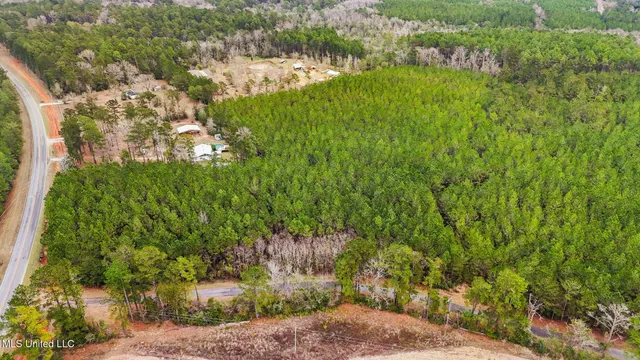 $350,000 | 63n & Fork Road, Lucedale, MS 39452