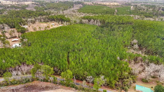 $350,000 | 63n & Fork Road, Lucedale, MS 39452