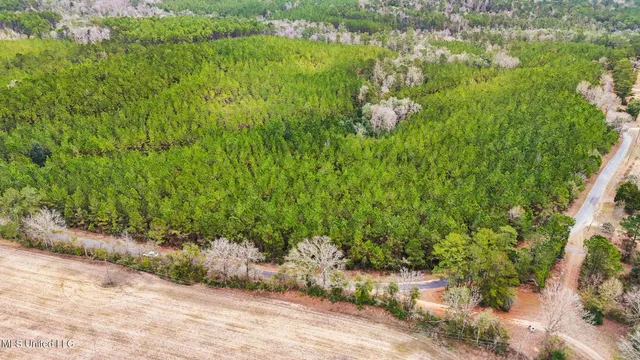 $350,000 | 63n & Fork Road, Lucedale, MS 39452
