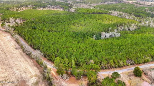 $310,000 | 63n & Fork Road, Lucedale, MS 39452