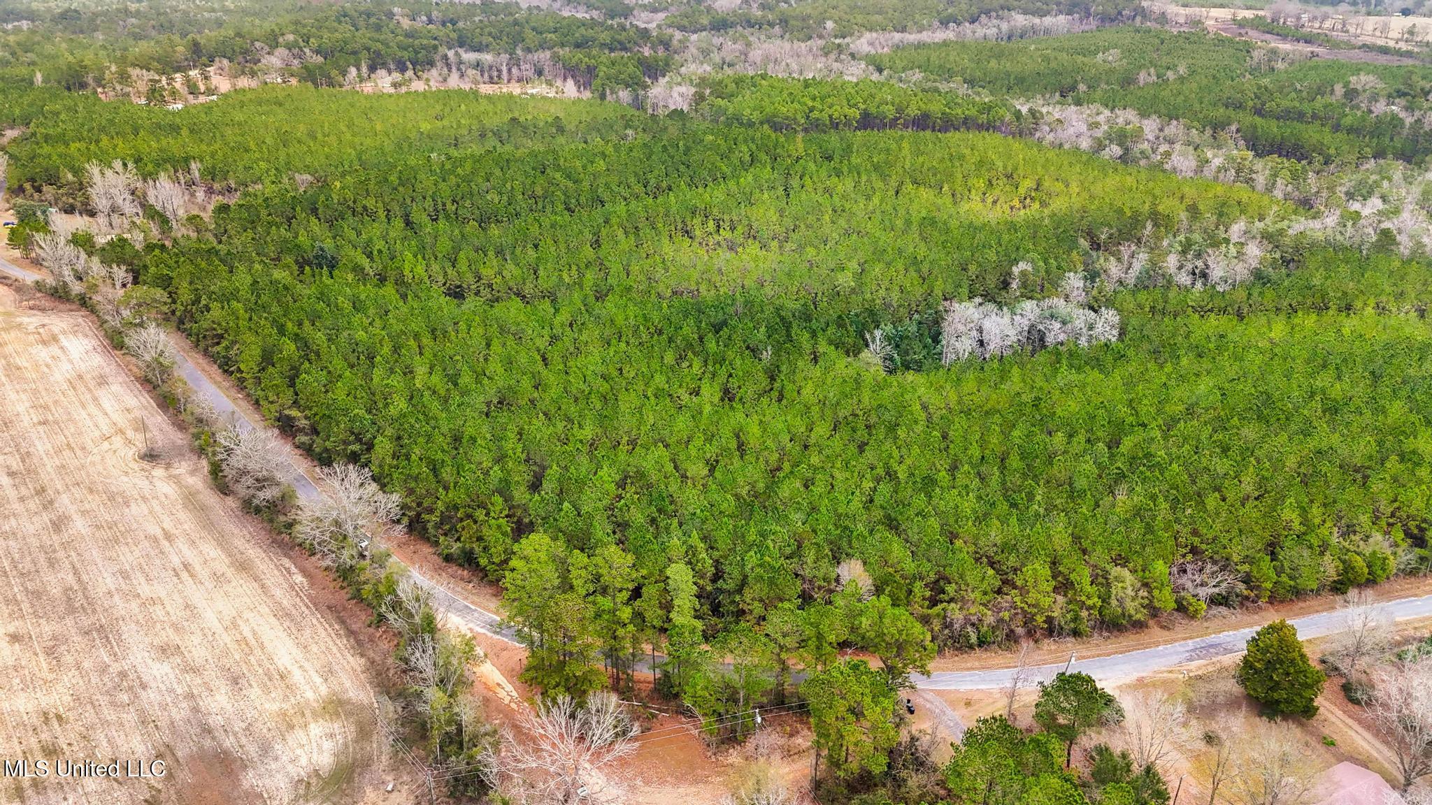 63n & Fork Road Lucedale, MS 39452 - Photo 7 of 18 007