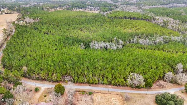 $310,000 | 63n & Fork Road, Lucedale, MS 39452