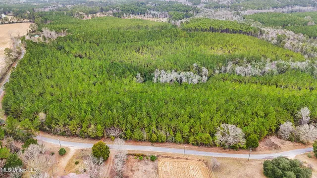 $350,000 | 63n & Fork Road, Lucedale, MS 39452