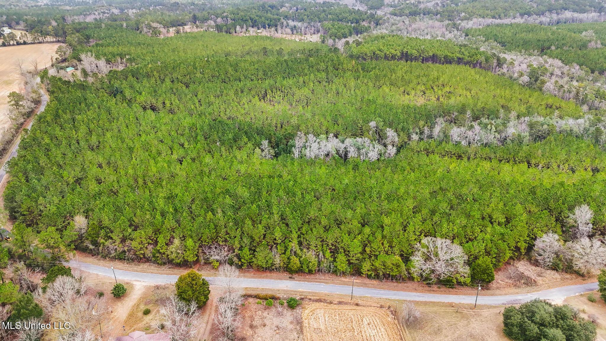 63n & Fork Road Lucedale, MS 39452 - Photo 8 of 18 008