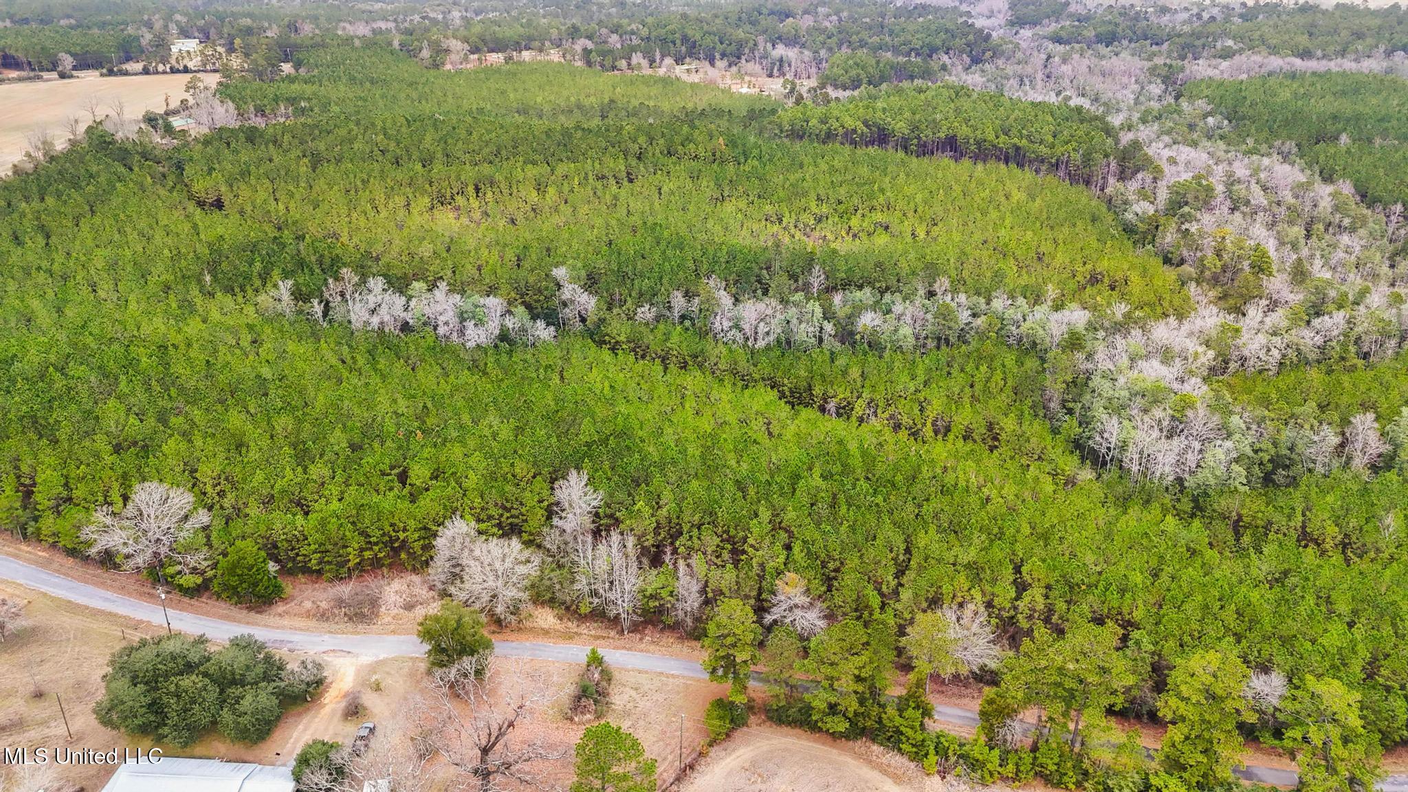 63n & Fork Road Lucedale, MS 39452 - Photo 9 of 18 009