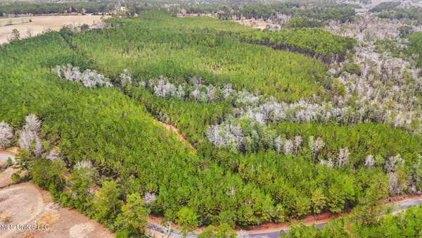 $310,000 | 63n & Fork Road, Lucedale, MS 39452