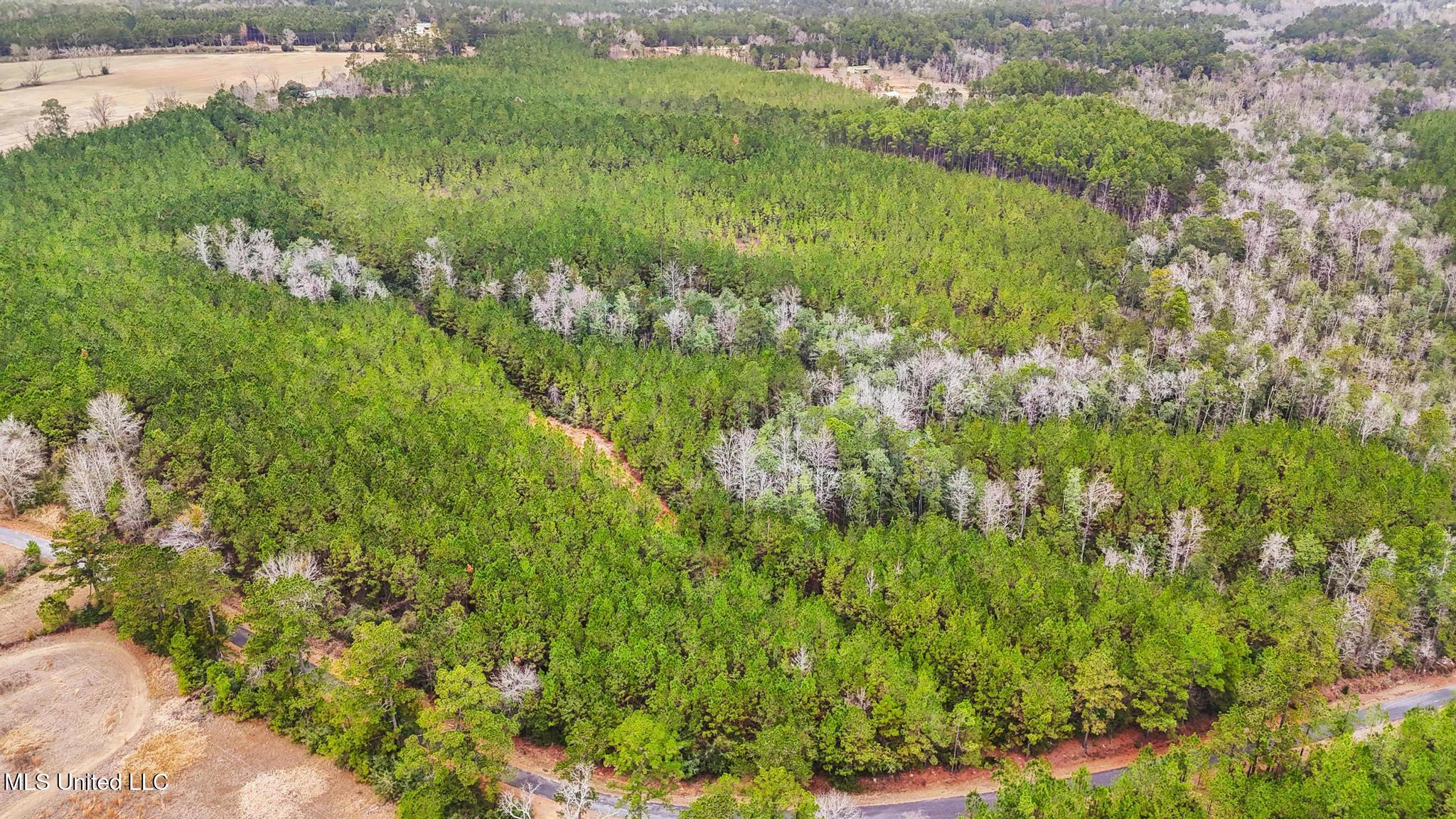 63n & Fork Road Lucedale, MS 39452 - Photo 10 of 18 010