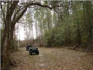 150-ac Spring Valley Road Bonifay, FL 32425 - Photo 5 of 8 Additional Photo