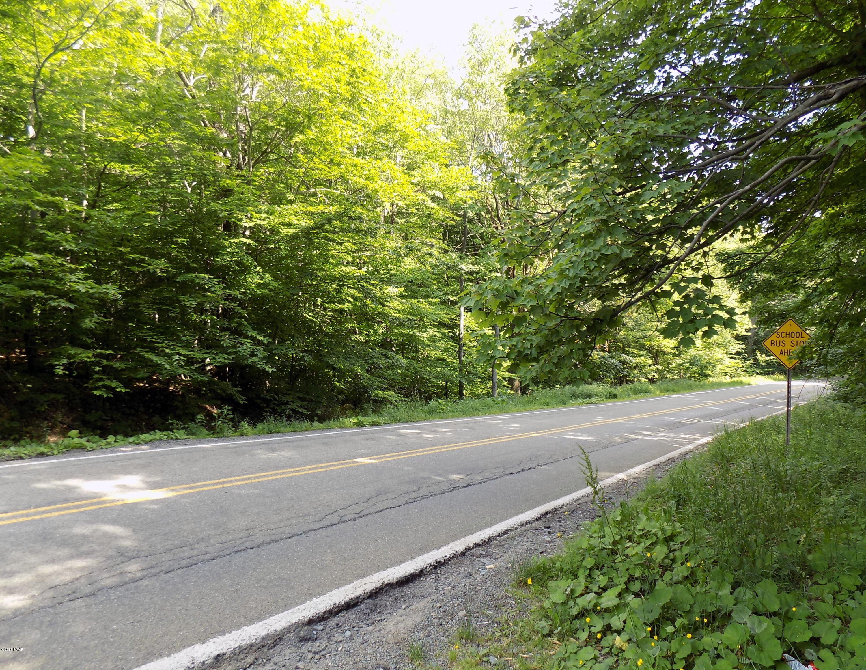 196 Huckleberry Road Newfoundland, PA 18445 - Photo 3 of 6