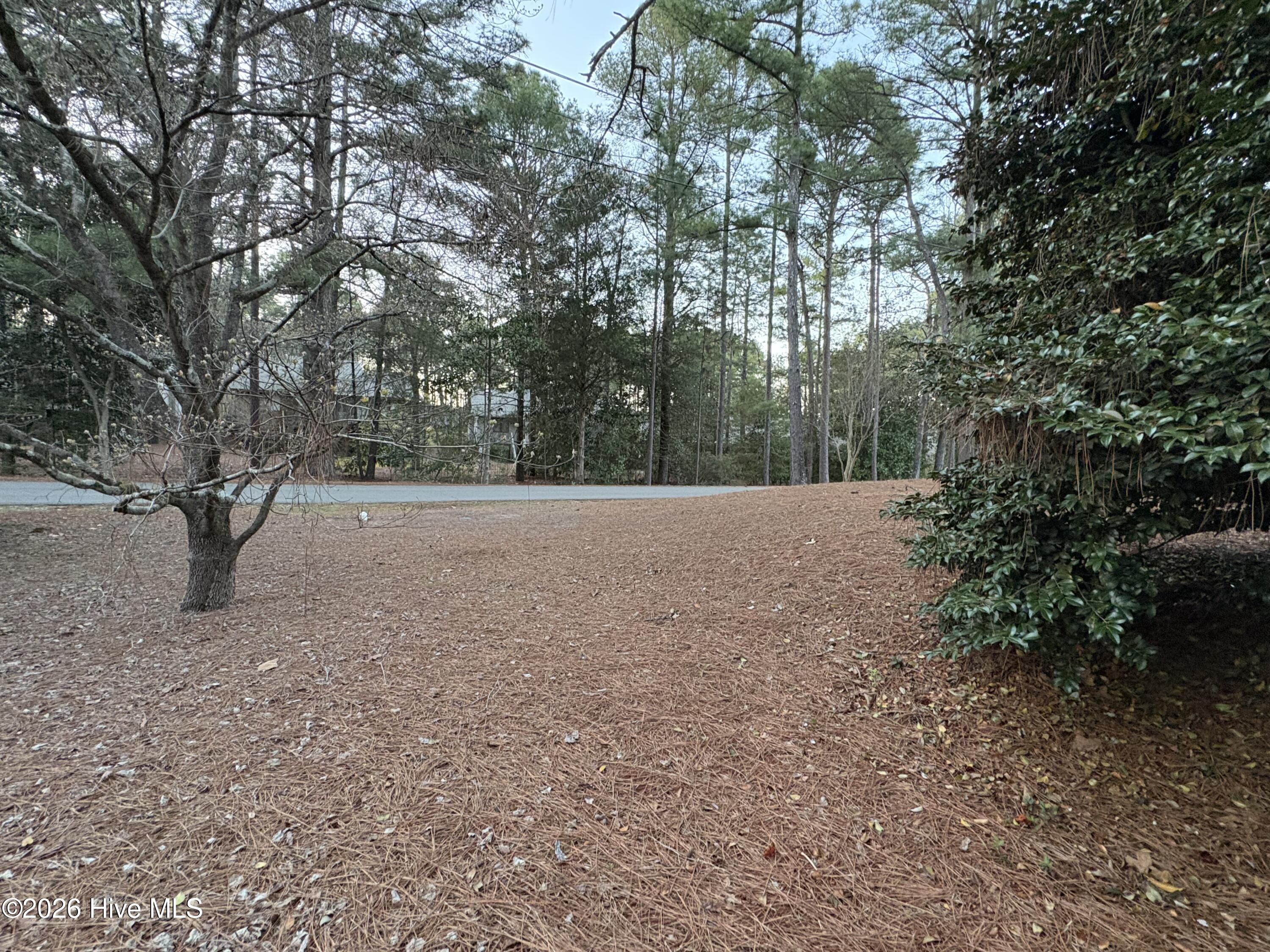 957 Sandavis Road Southern Pines, NC 28387 - Photo 21 of 21 IMG_6202 2
