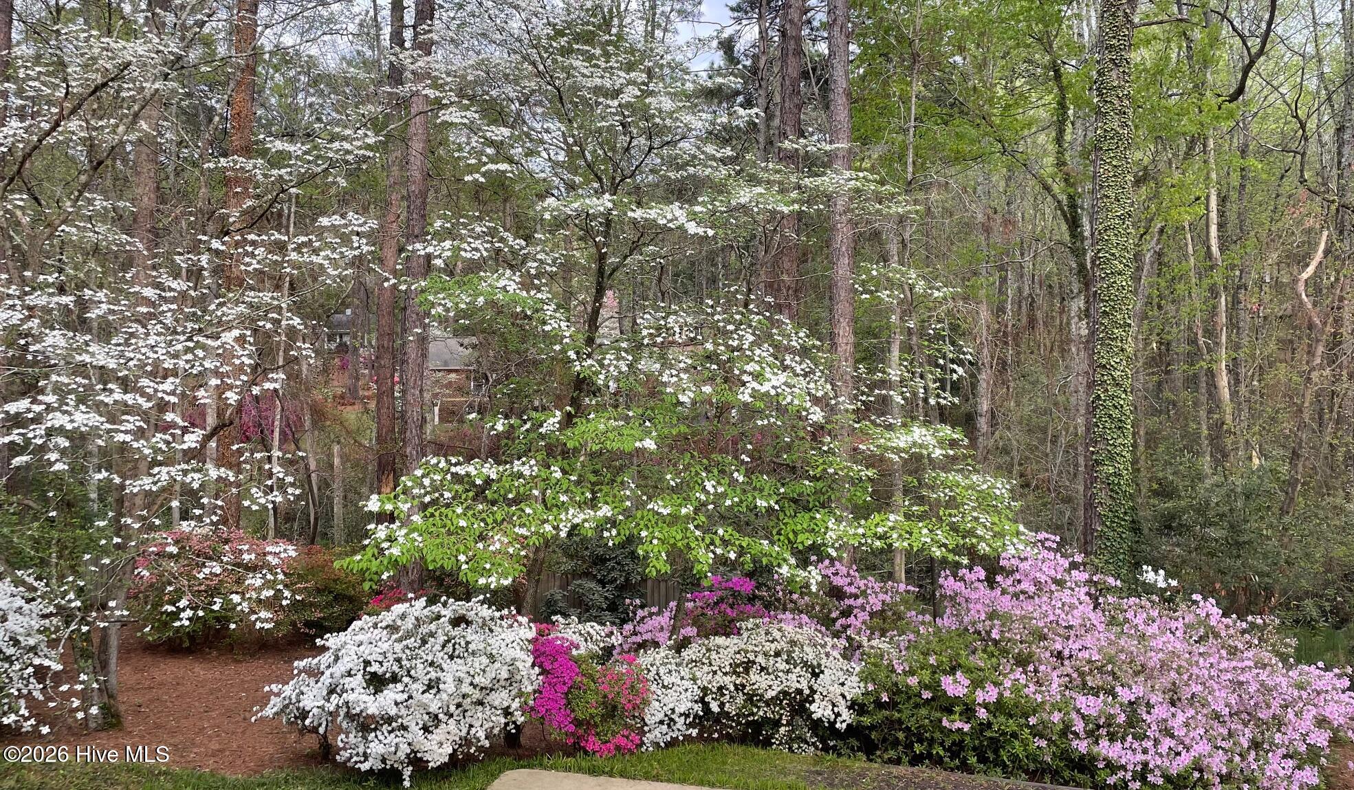 957 Sandavis Road Southern Pines, NC 28387 - Photo 3 of 21 Backyard Spring 2