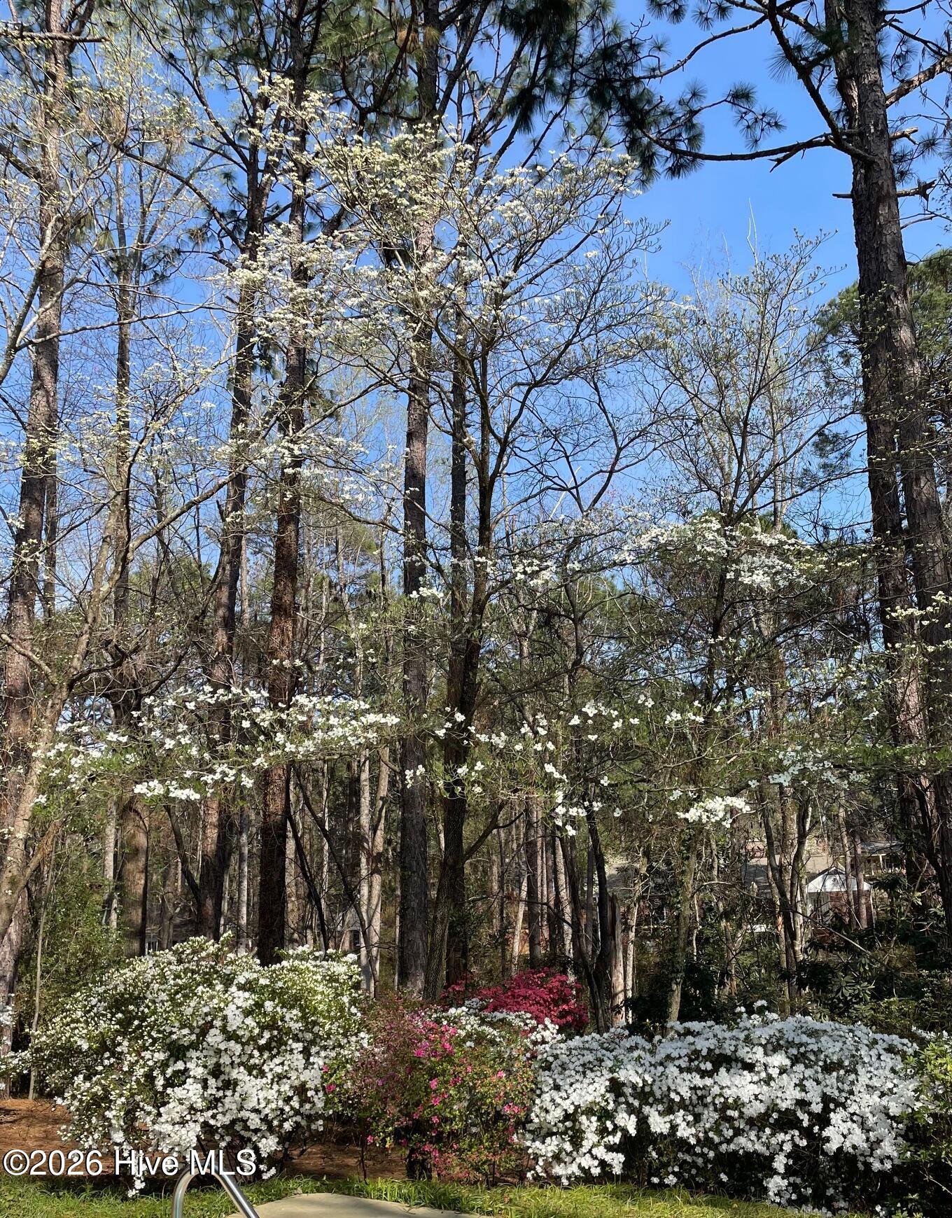 957 Sandavis Road Southern Pines, NC 28387 - Photo 4 of 21 Backyard Spring 1