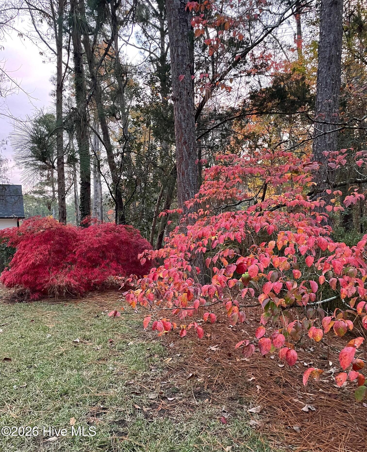 957 Sandavis Road Southern Pines, NC 28387 - Photo 8 of 21 Backyard Fall