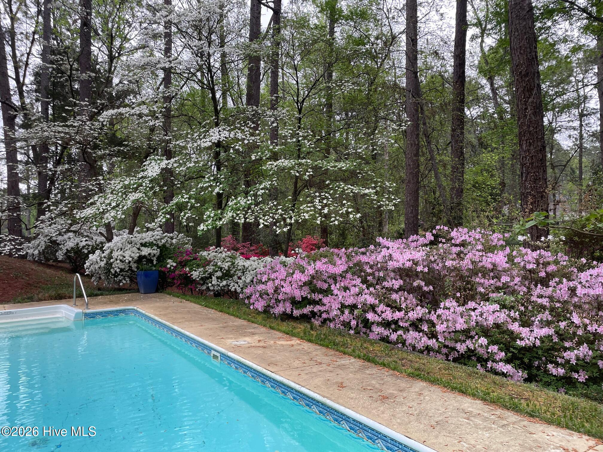 957 Sandavis Road Southern Pines, NC 28387 - Photo 9 of 21 Backyard with Pool 2