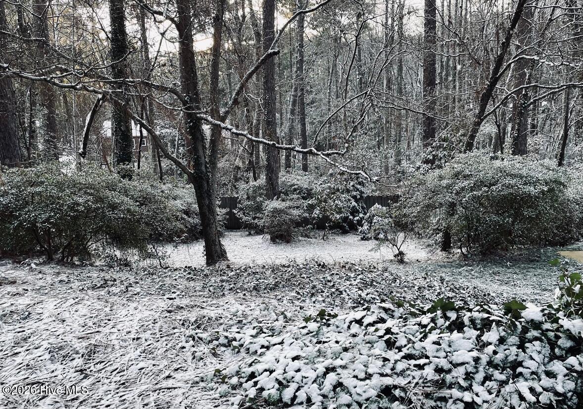 957 Sandavis Road Southern Pines, NC 28387 - Photo 10 of 21 Backyard Winter