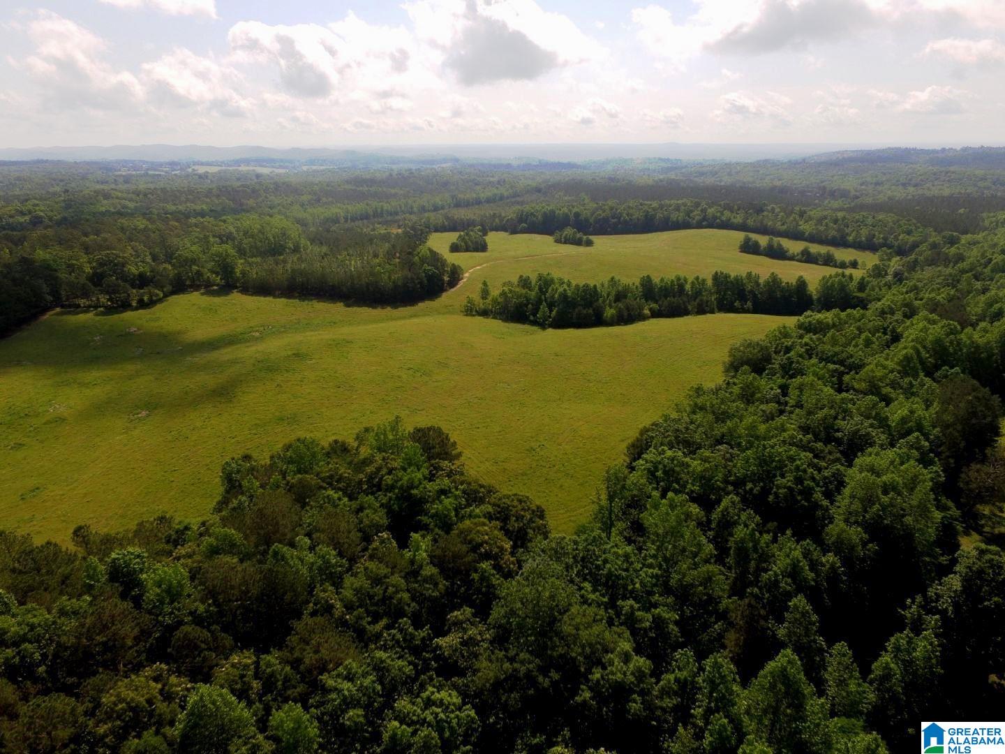 Oaks Chapel Road, Unit 76 Goodwater, AL 35072 - Photo 3 of 25