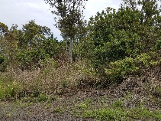 4 Ohana Road Captain Cook, HI 96704 - Photo 2 of 3 Gallery Image 2