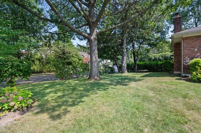 a view of a yard with a tree