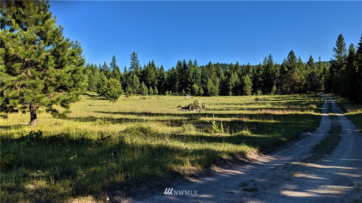 72 Horn Ranch Road Tonasket, WA 98855 - Photo 3 of 40 a view of a lake view