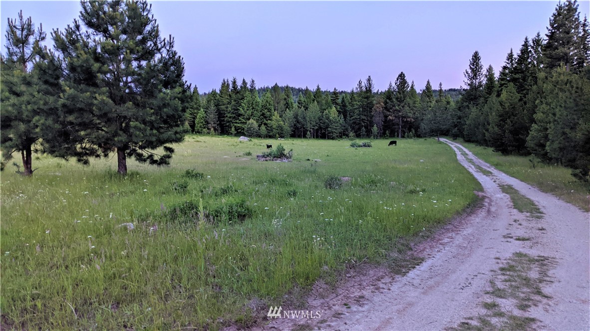 72 Horn Ranch Road Tonasket, WA 98855 - Photo 36 of 40 a view of a green field with a tree in the background