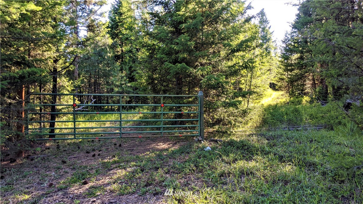 72 Horn Ranch Road Tonasket, WA 98855 - Photo 40 of 40 a view of a yard with large trees