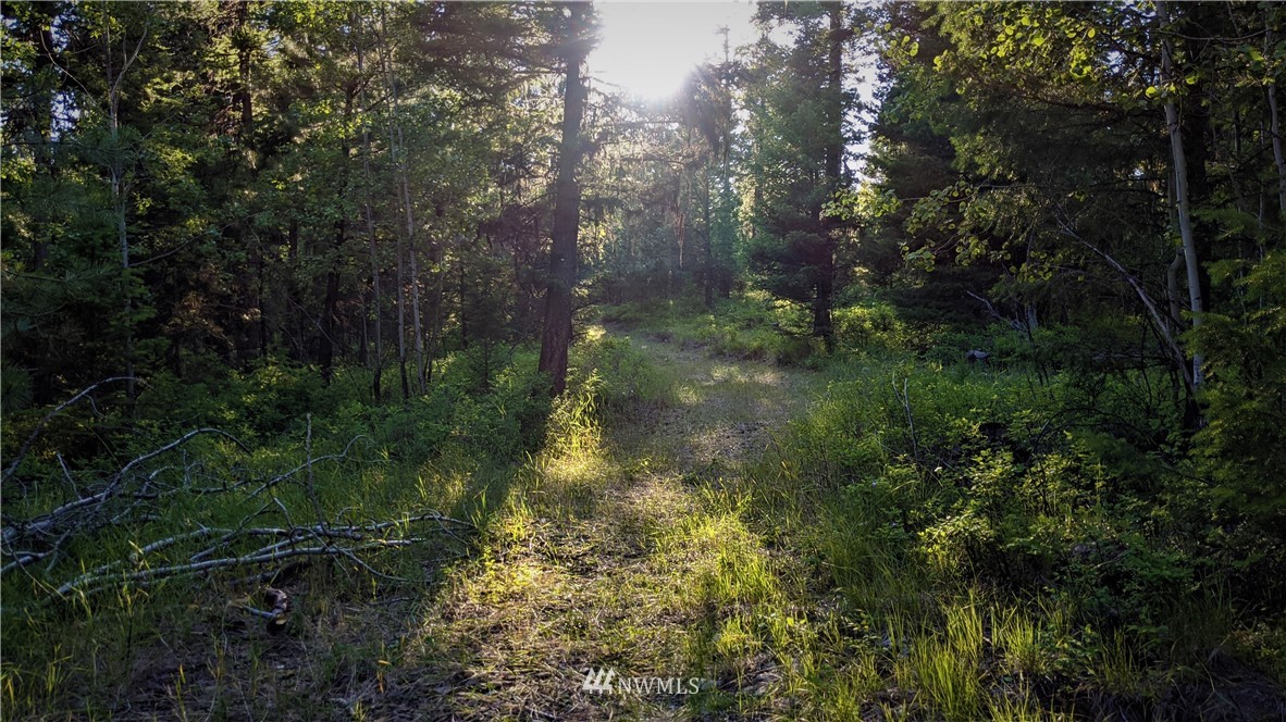 72 Horn Ranch Road Tonasket, WA 98855 - Photo 6 of 40 a view of a yard