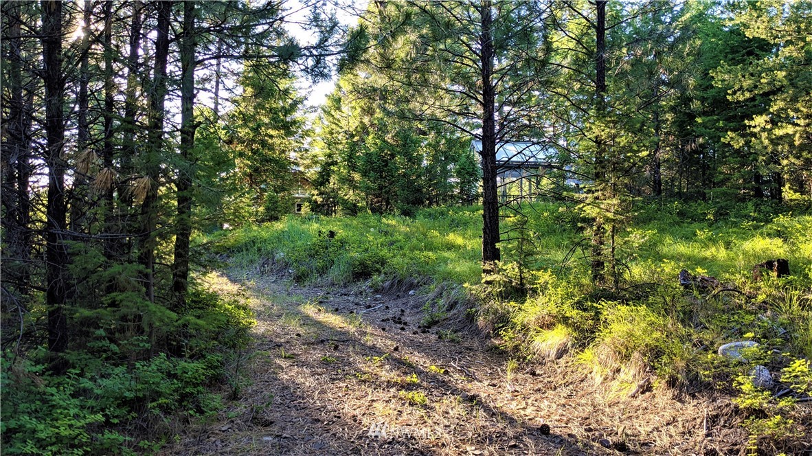 72 Horn Ranch Road Tonasket, WA 98855 - Photo 10 of 40 a backyard of a house with lots of trees