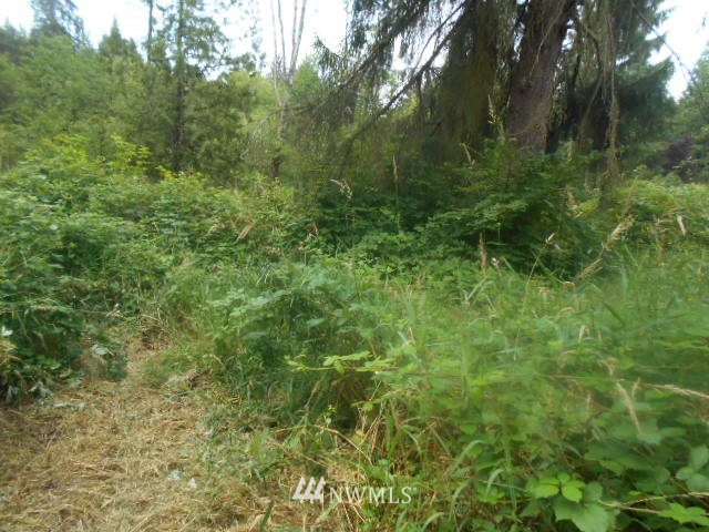 29019 Grandview Road Arlington, WA 98223 - Photo 20 of 21 Gallery Image 20