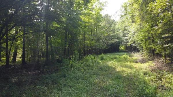 $164,650 | 0 Fivel Lane, Ridgeville, SC 29472