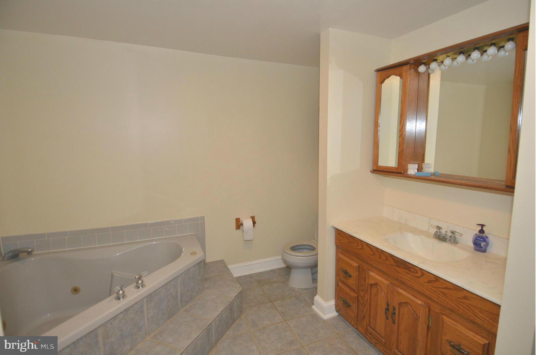 11806 Selfridge Road Silver Spring, MD 20906 - Photo 13 of 25 a bathroom with a sink a toilet and mirror