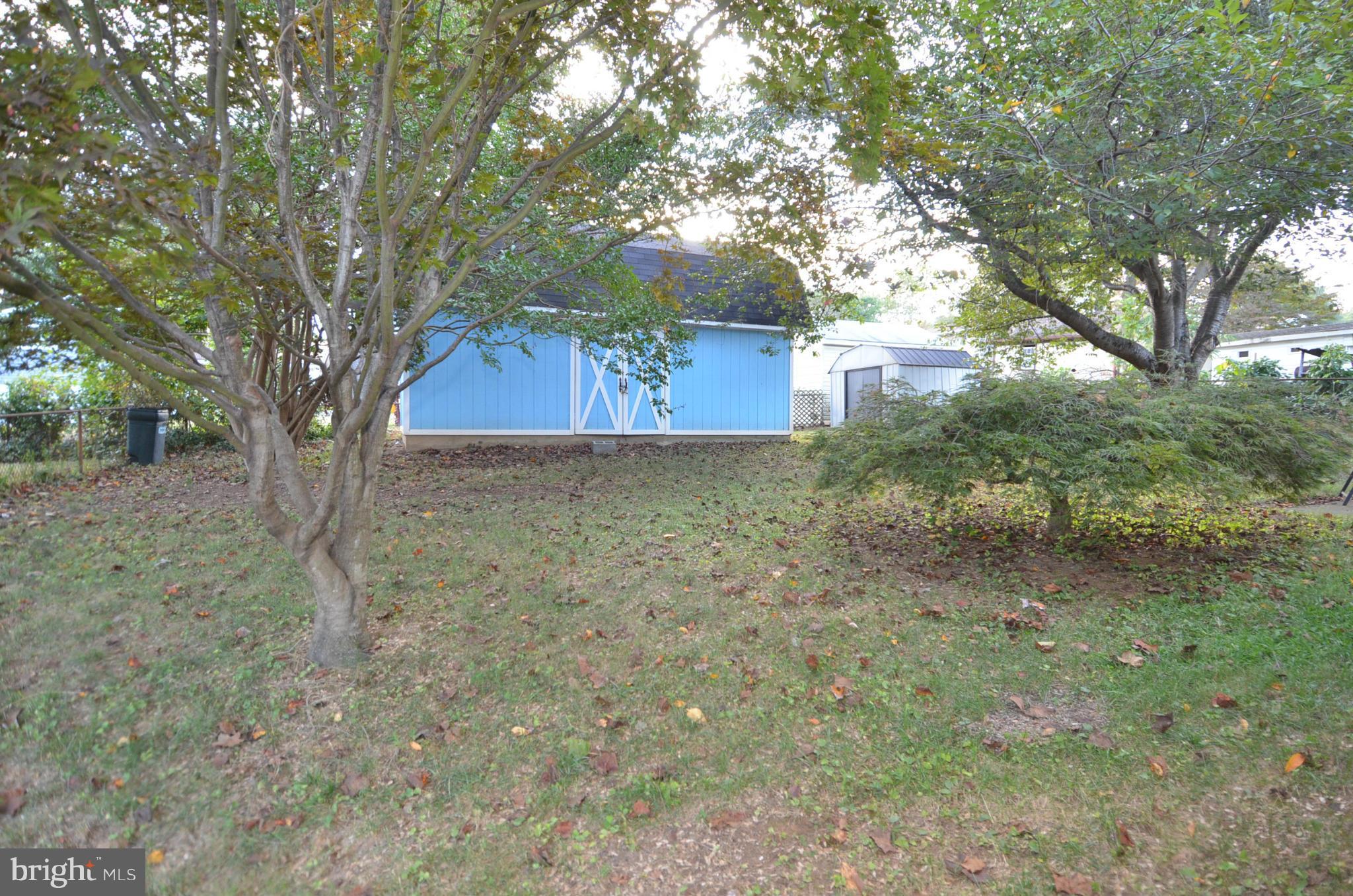 11806 Selfridge Road Silver Spring, MD 20906 - Photo 22 of 25 a view of a tree in the middle of a yard