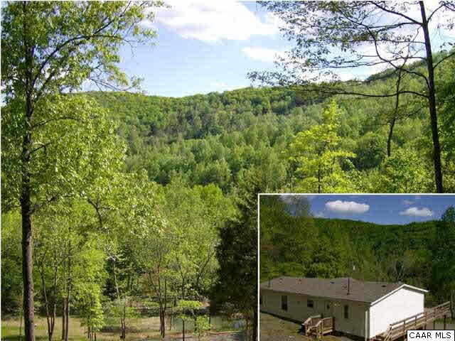 1733 Mutton Hollow Road Stanardsville, VA 22973 - Photo 11 of 12 a view of a yard with plants