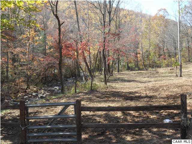 1733 Mutton Hollow Road Stanardsville, VA 22973 - Photo 10 of 12 a view of a yard with trees