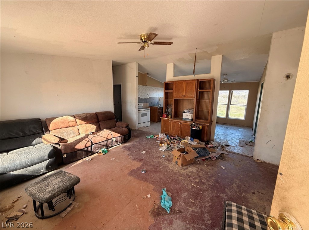 3480 Medicine Man Road Pahrump, NV 89048 - Photo 4 of 4