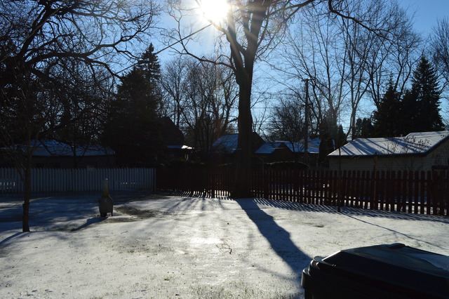 2063 Downey Road Homewood, IL 60430 - Photo 7 of 8 a view of backyard with hardwood