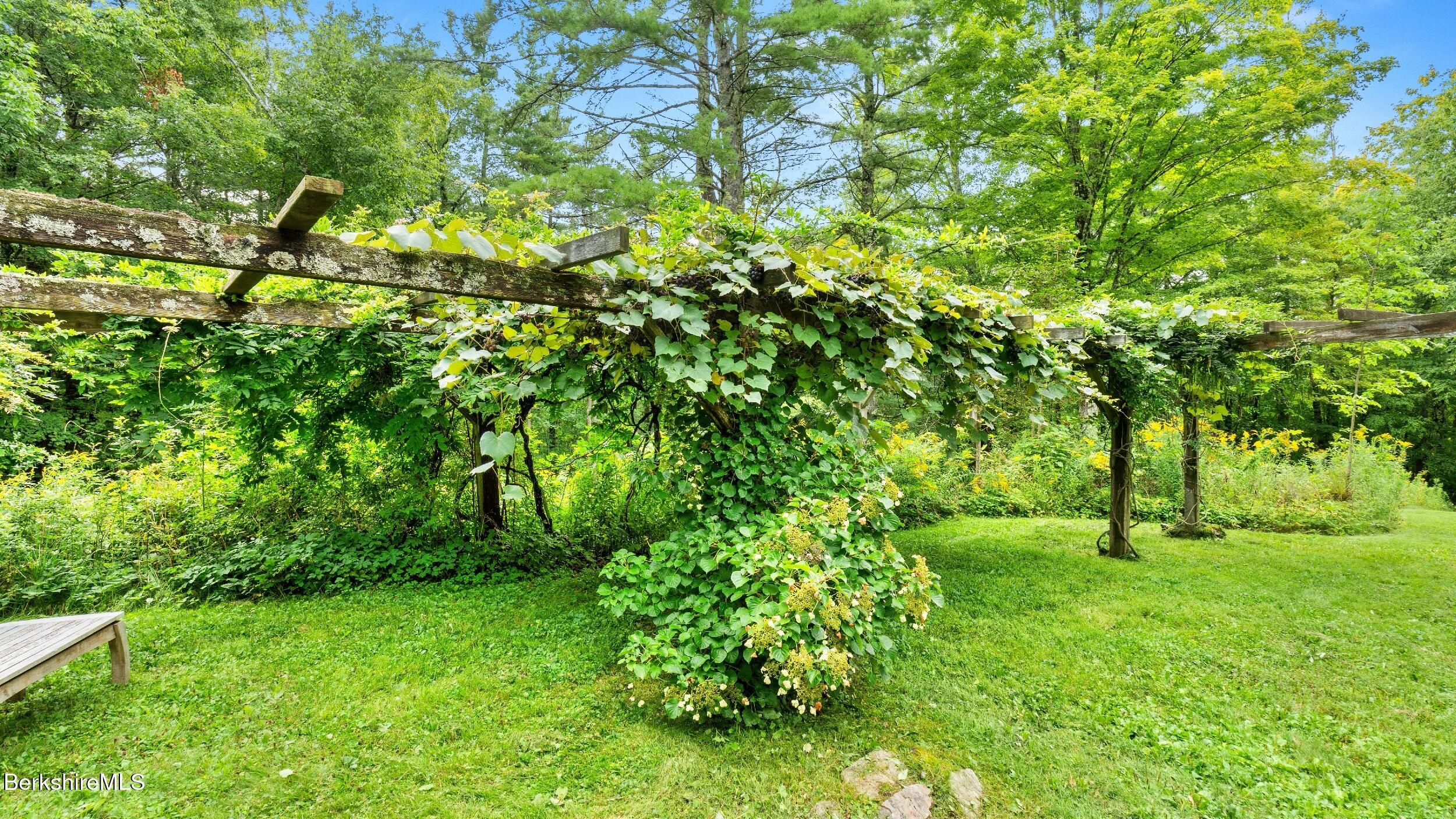 77 New Marlboro Road Monterey, MA 01245 - Photo 45 of 50 Grapes