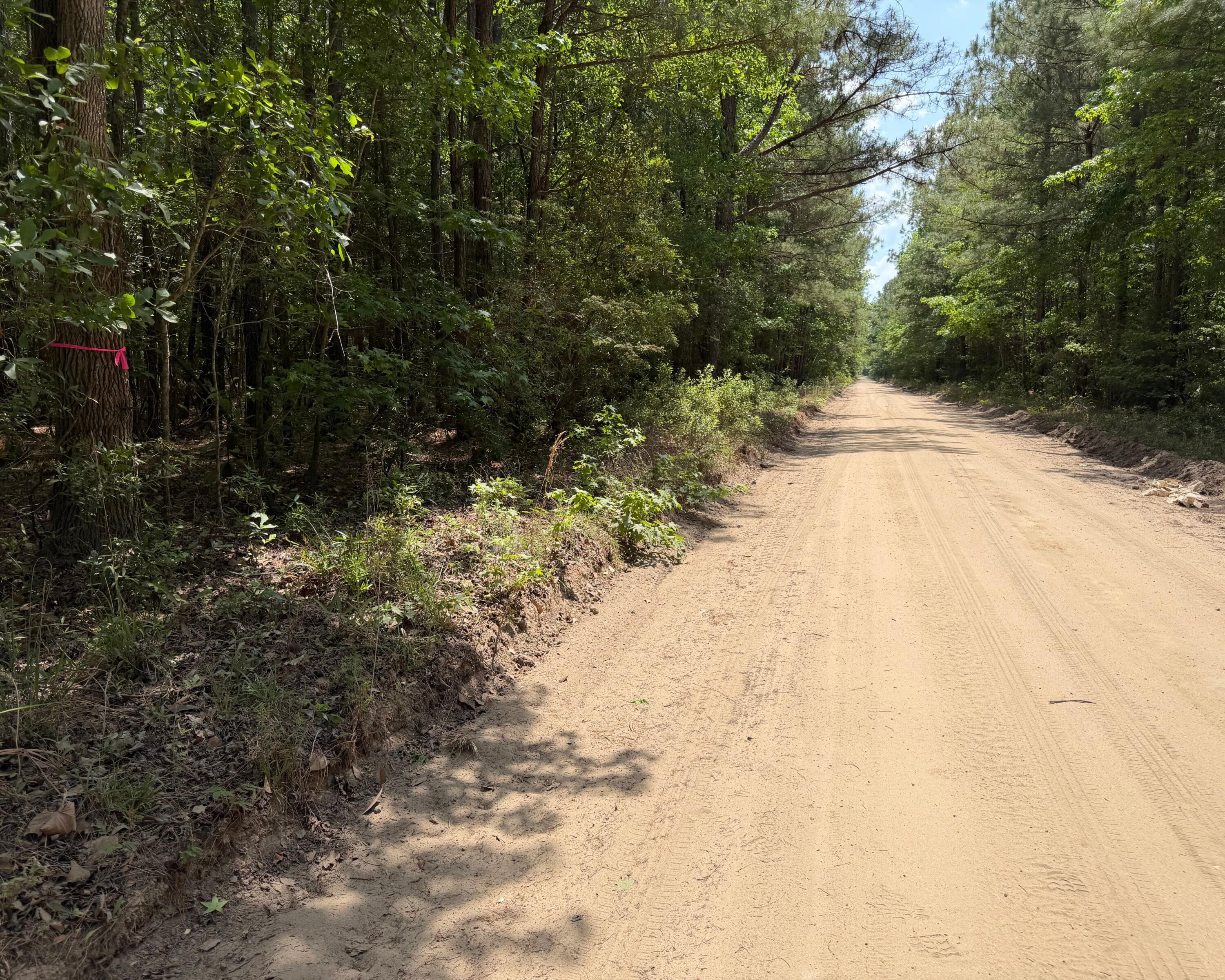 0 Toney Bay Road Holly Hill, SC 29059 - Photo 2 of 6