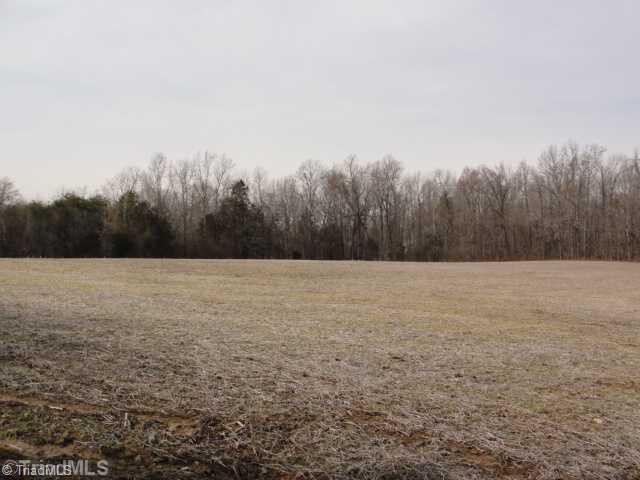 14 Huffine Mill Road Dayton, OH 45405 - Photo 3 of 11 Land. Portion of back field , deer tracks all over the place!