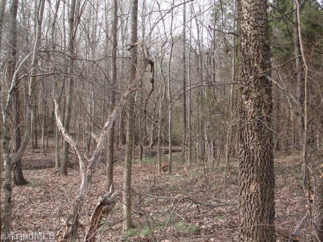 14 Huffine Mill Road Dayton, OH 45405 - Photo 5 of 11 Land. Beautiful stream bed meadow.